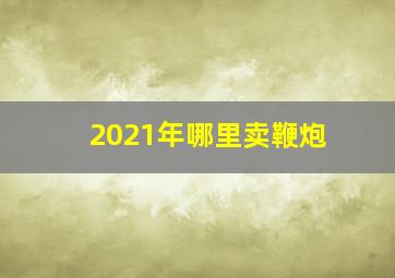 2021年哪里卖鞭炮