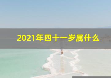 2021年四十一岁属什么