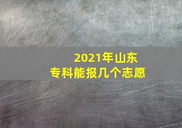 2021年山东专科能报几个志愿