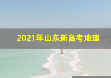 2021年山东新高考地理