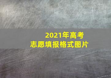 2021年高考志愿填报格式图片