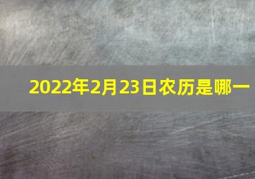 2022年2月23日农历是哪一