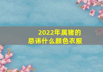 2022年属猪的忌讳什么颜色衣服