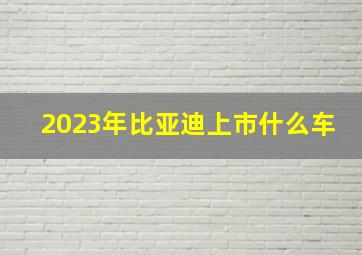 2023年比亚迪上市什么车