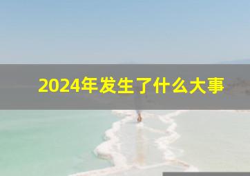 2024年发生了什么大事