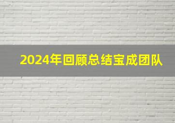 2024年回顾总结宝成团队