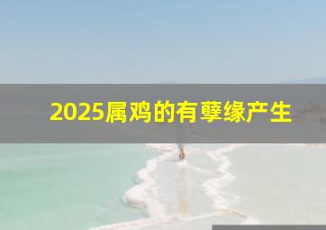 2025属鸡的有孽缘产生