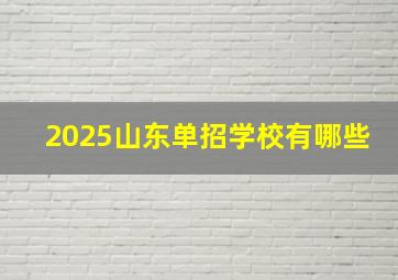 2025山东单招学校有哪些