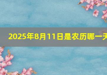 2025年8月11日是农历哪一天