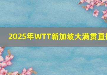 2025年WTT新加坡大满贯直播