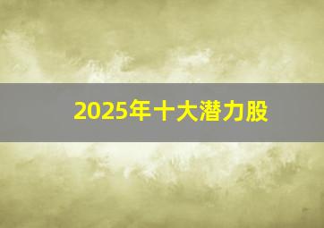 2025年十大潜力股