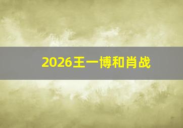 2026王一博和肖战