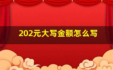 202元大写金额怎么写