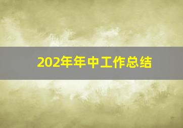 202年年中工作总结