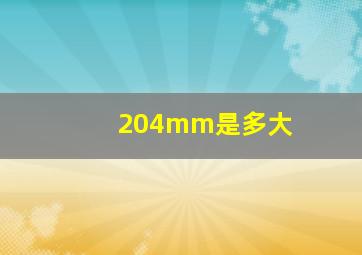 204mm是多大