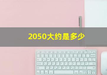 2050大约是多少