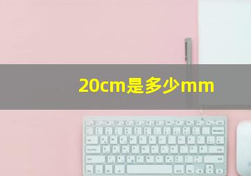 20cm是多少mm