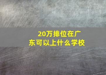 20万排位在广东可以上什么学校