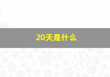 20天是什么