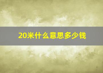 20米什么意思多少钱