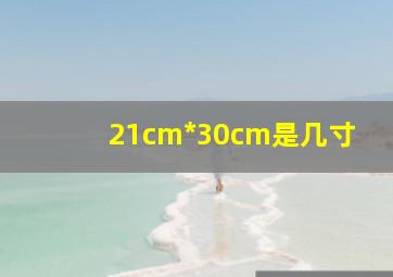 21cm*30cm是几寸