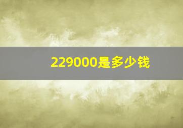 229000是多少钱