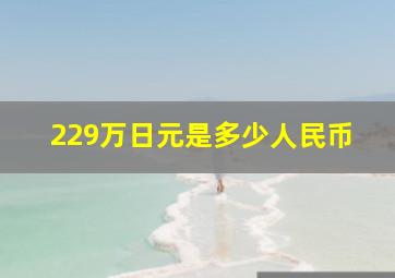 229万日元是多少人民币