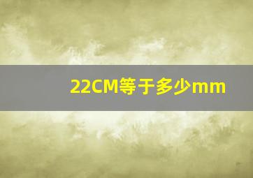 22CM等于多少mm