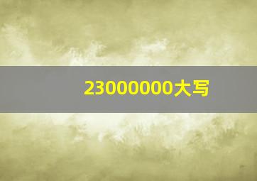 23000000大写