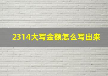 2314大写金额怎么写出来