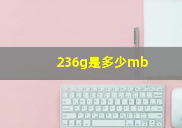 236g是多少mb