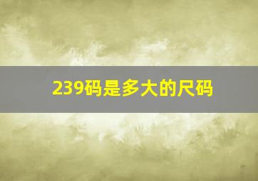 239码是多大的尺码