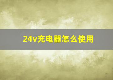 24v充电器怎么使用