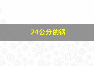 24公分的锅