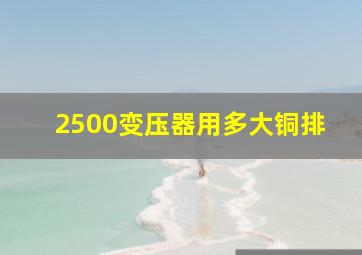 2500变压器用多大铜排