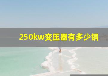 250kw变压器有多少铜