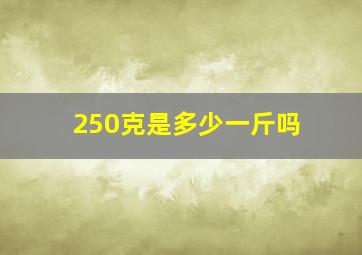 250克是多少一斤吗