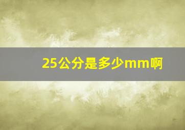 25公分是多少mm啊