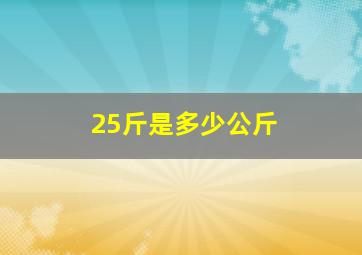 25斤是多少公斤