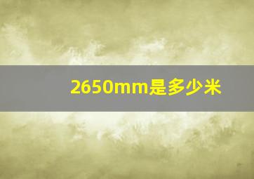 2650mm是多少米