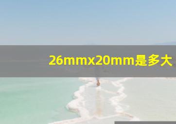 26mmx20mm是多大