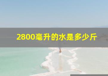 2800毫升的水是多少斤