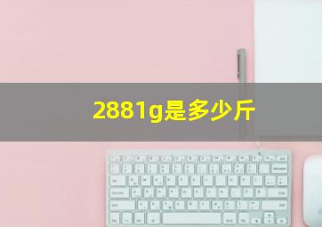 2881g是多少斤