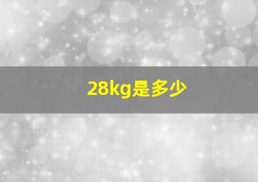 28kg是多少