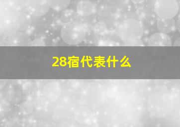 28宿代表什么