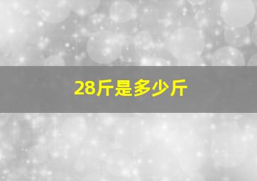 28斤是多少斤