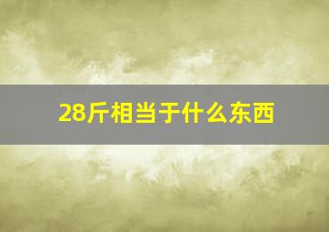 28斤相当于什么东西