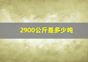 2900公斤是多少吨