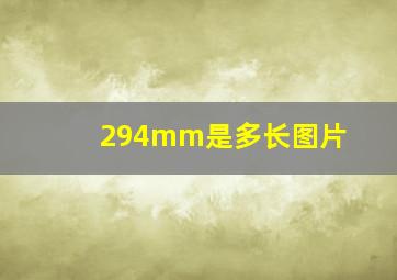 294mm是多长图片