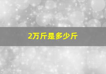 2万斤是多少斤